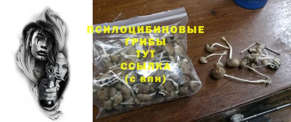 сатива Белокуриха