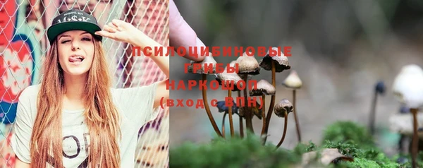 сатива Белокуриха