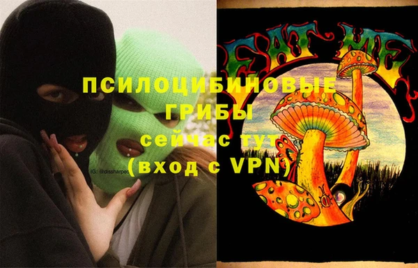 ПСИЛОЦИБИНОВЫЕ ГРИБЫ Бронницы